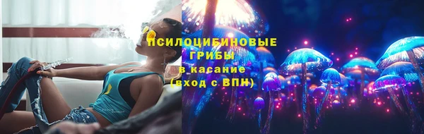 PSILOCYBIN Вяземский