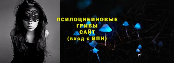 PSILOCYBIN Вяземский