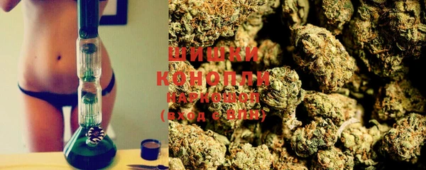 PSILOCYBIN Вяземский