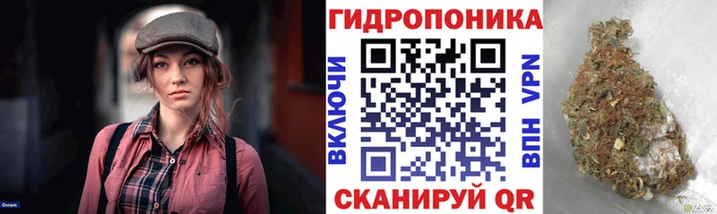 Канабис MAZAR Тбилисская